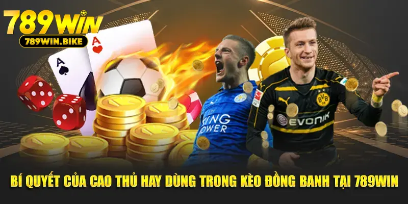 Bí quyết của cao thủ hay dùng trong kèo đồng banh tại 789WIN